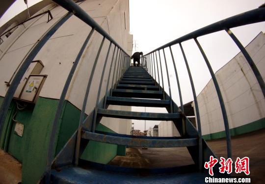 中央儲(chǔ)備糧江西泰和直屬庫有限公司保管員在倉庫巡查?！⊥蹶魂?攝